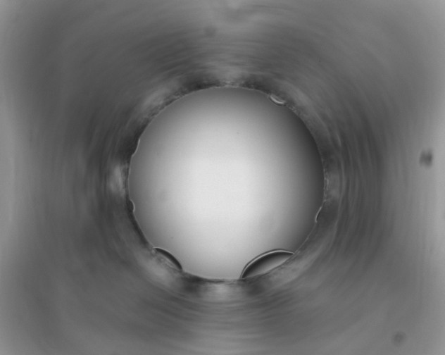 X0000096150286200802011240