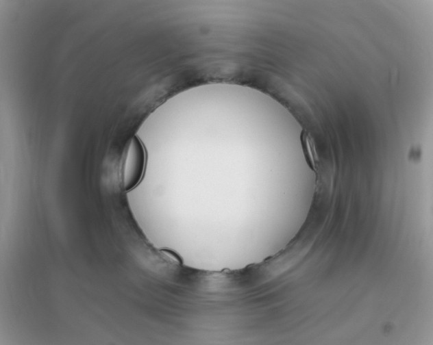 X0000096150287200802011240