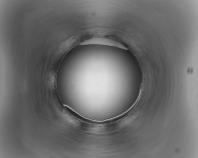 X0000096150288200802011240