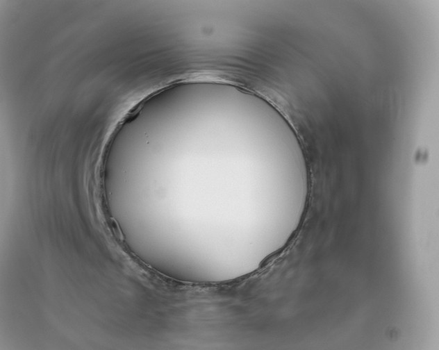 X0000096150289200802011239