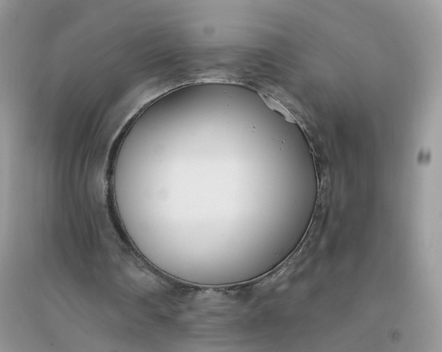 X0000096150290200802011239