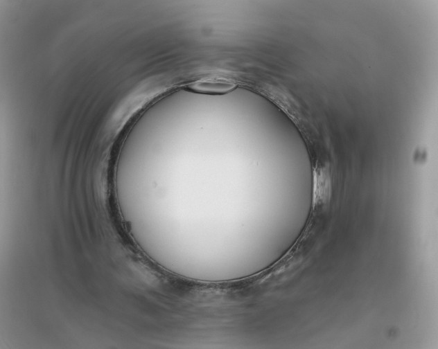 X0000096150291200802011239