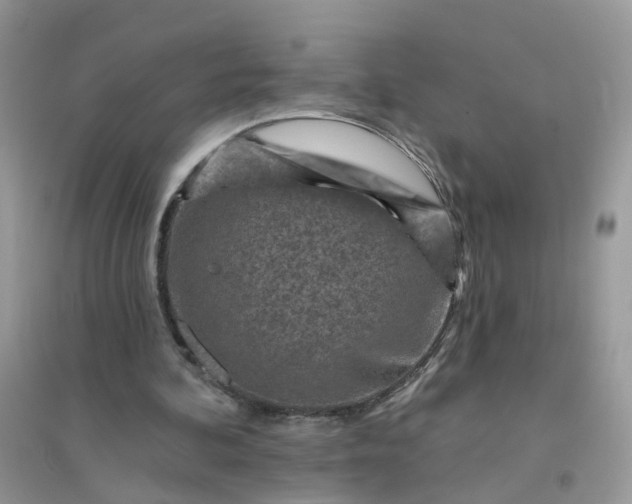 X0000096150292200802011239