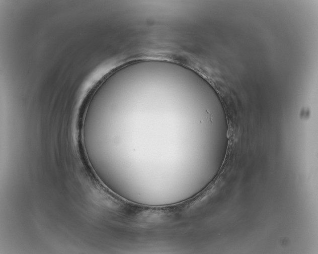 X0000096150294200802011239