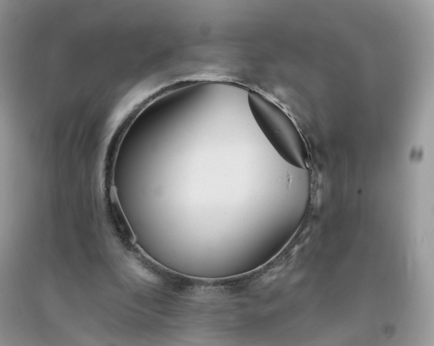 X0000096150296200802011239