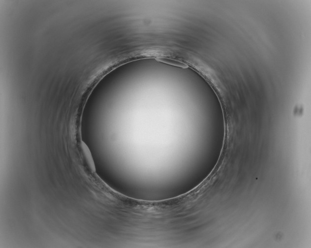 X0000096150297200802011239
