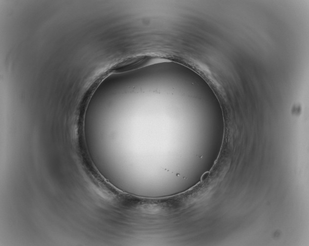 X0000096150299200802011239