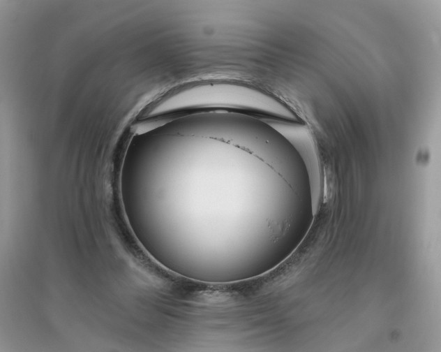 X0000096150300200802011239