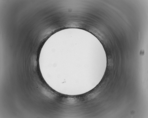 X0000096150302200802011239