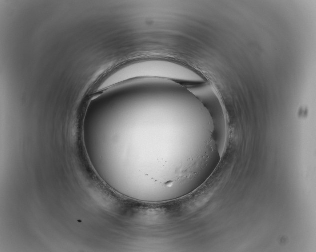 X0000096150304200802011239