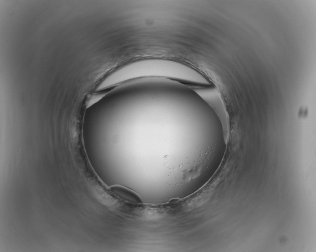 X0000096150305200802011239