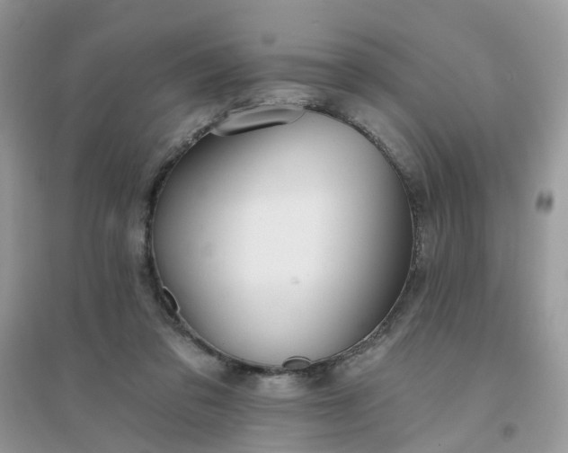 X0000096150309200802011239