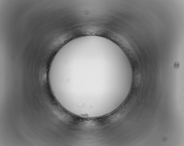 X0000096150310200802011239