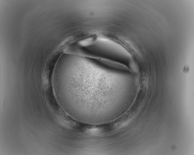 X0000096150312200802011239