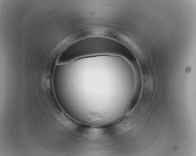 X0000096150313200802011239