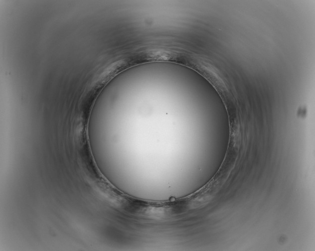 X0000096150314200802011239