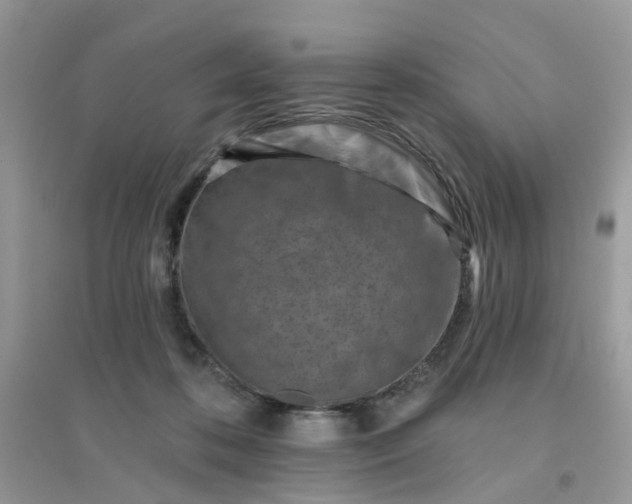X0000096150316200802011239