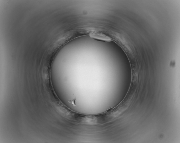 X0000096150317200802011239