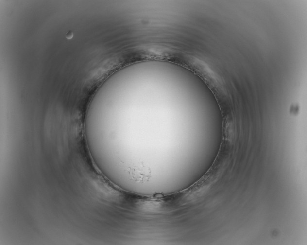 X0000096150318200802011239