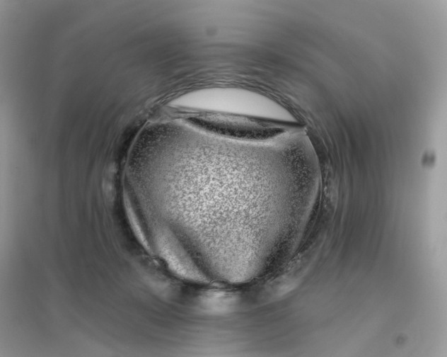 X0000096150319200802011239