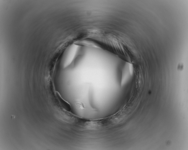 X0000096150320200802011238