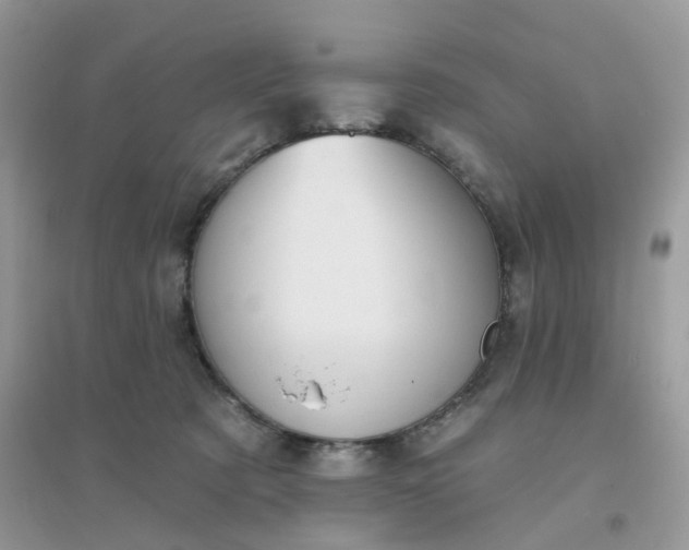 X0000096150321200802011238