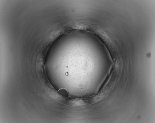 X0000096150322200802011238