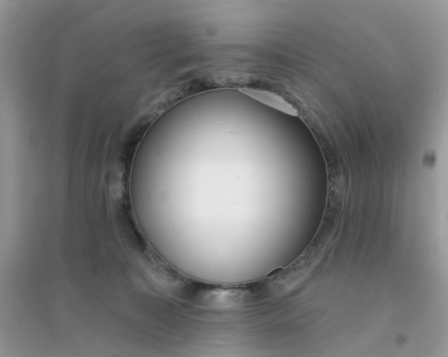 X0000096150323200802011238