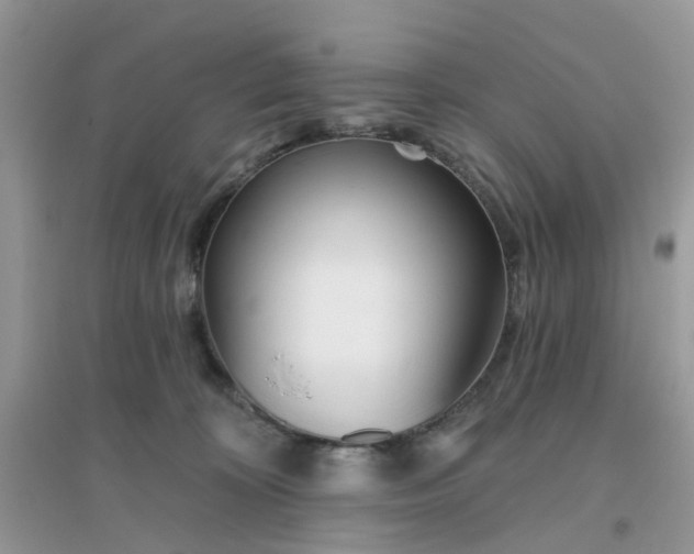 X0000096150324200802011238