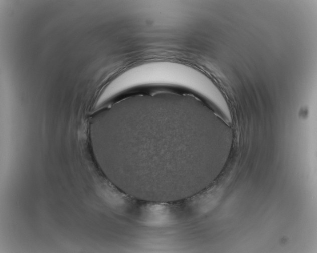 X0000096150325200802011238