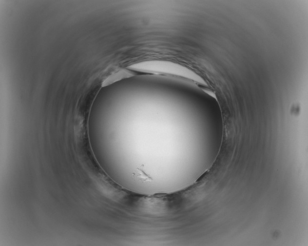 X0000096150327200802011238