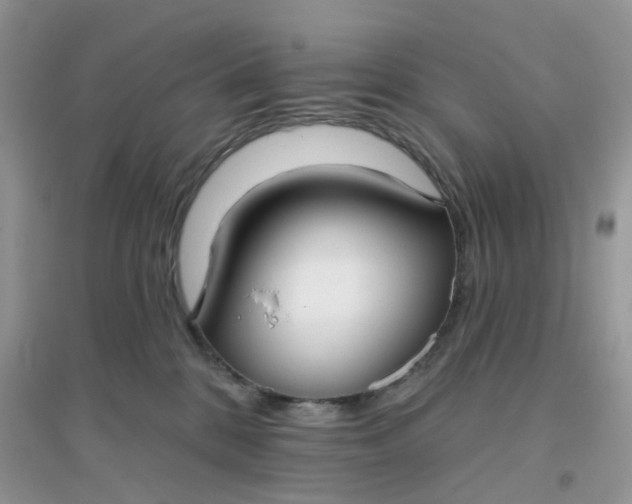 X0000096150328200802011238