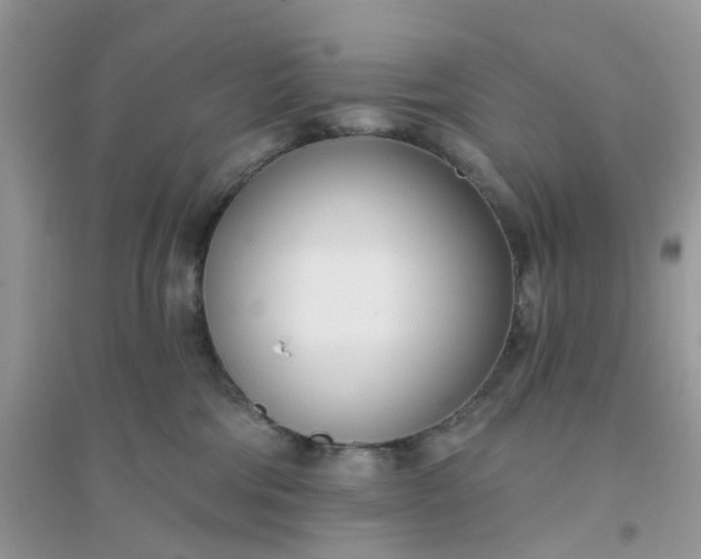 X0000096150330200802011238