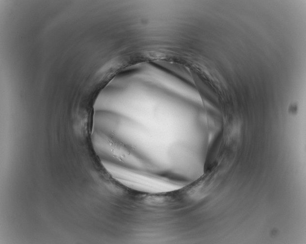 X0000096150332200802011238