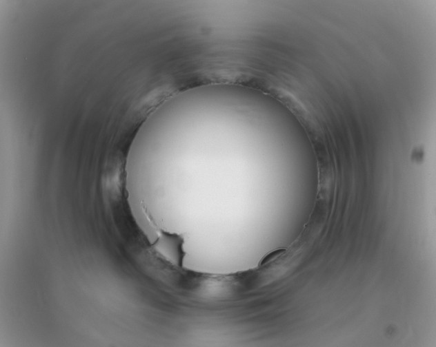 X0000096150334200802011238