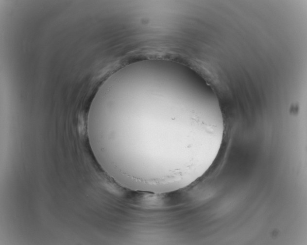 X0000096150335200802011238