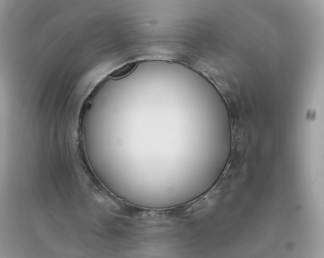 X0000096150338200802011238