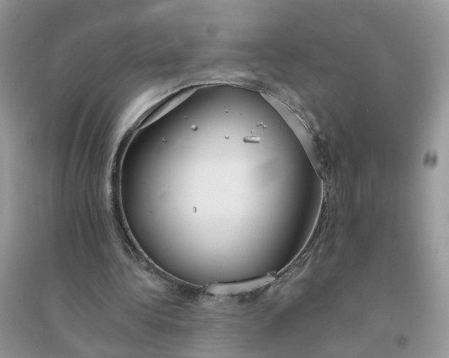 X0000096150340200802011238