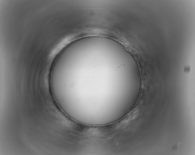 X0000096150341200802011238