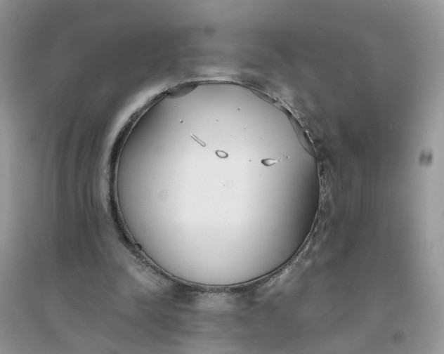 X0000096150342200802011238