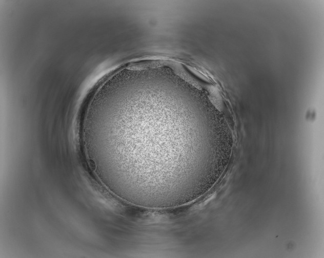 X0000096150343200802011238