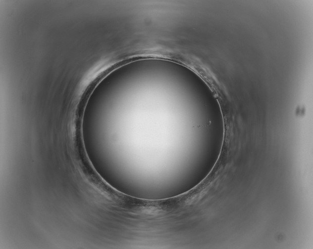 X0000096150344200802011238