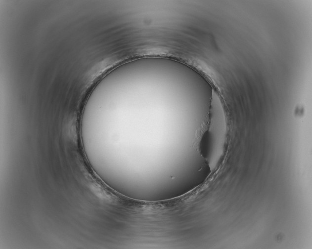 X0000096150345200802011238