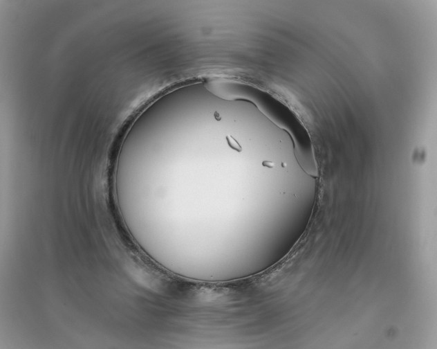 X0000096150346200802011238