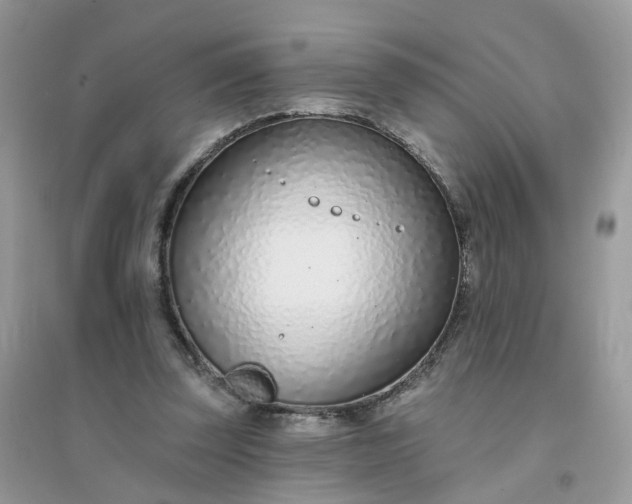 X0000096150347200802011238