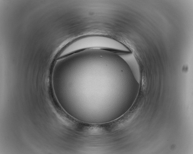 X0000096150348200802011238