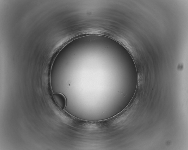 X0000096150349200802011238