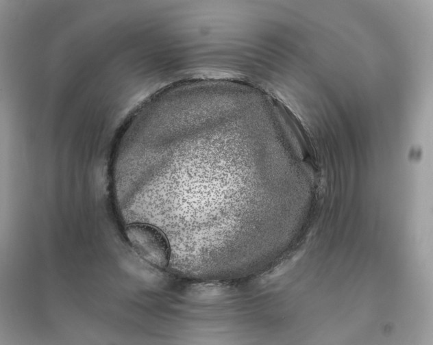 X0000096150351200802011238