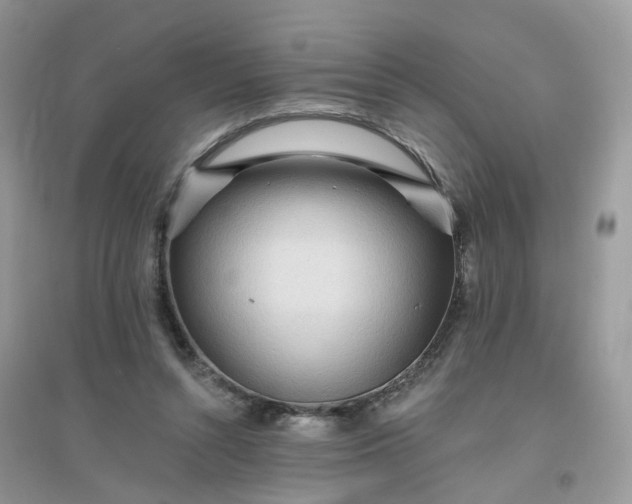 X0000096150352200802011238
