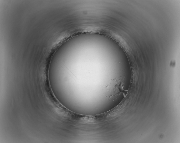 X0000096150354200802011238